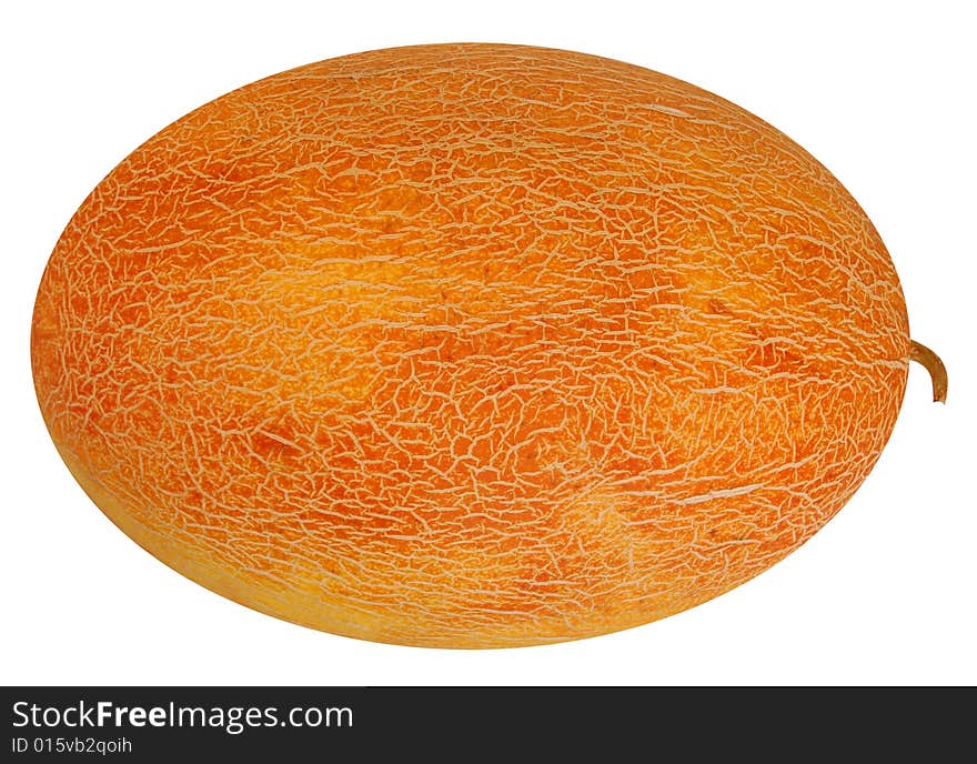 Orange Melon