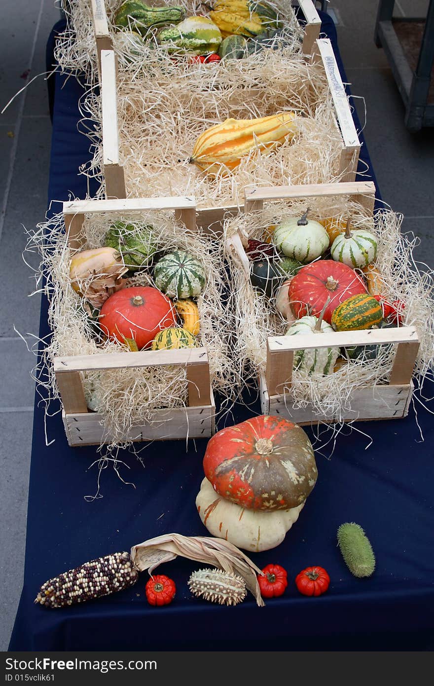 Small pumpkins of various shapes and colors