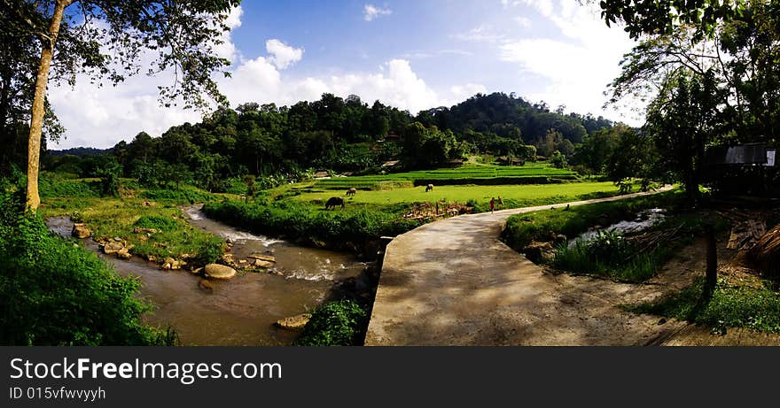 A farm located on the side of a hill in the countryside. A farm located on the side of a hill in the countryside.