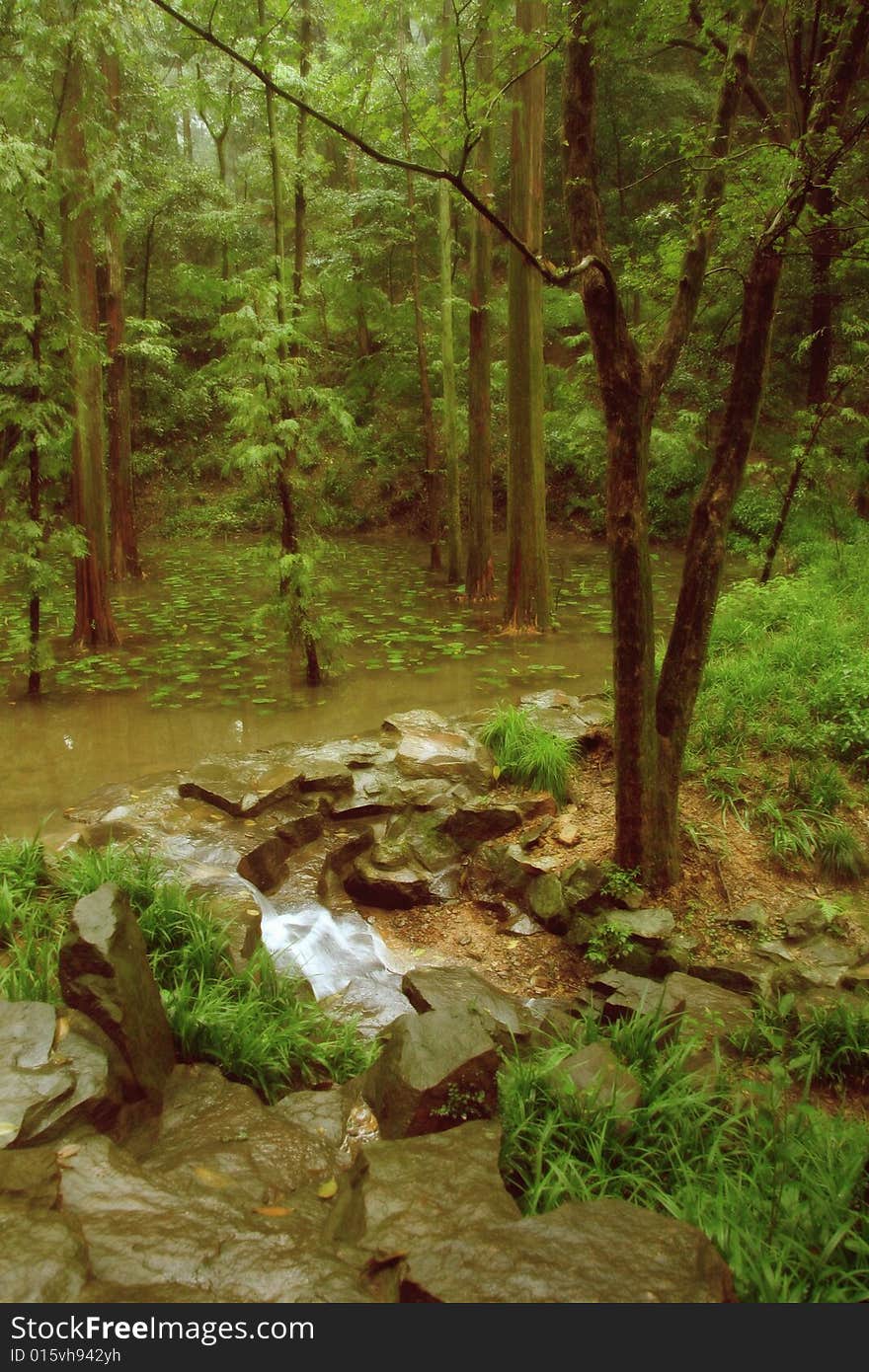 China's beautiful scenery, green plants and the construction of Chinese constitute a beautiful picture. China's beautiful scenery, green plants and the construction of Chinese constitute a beautiful picture