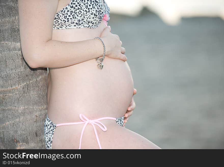 Pregnant Woman Holding her Stomach in Leopard print bikini. Pregnant Woman Holding her Stomach in Leopard print bikini