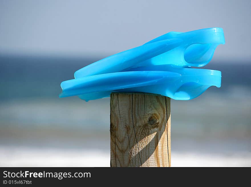 An image of a pair of swimming flippers