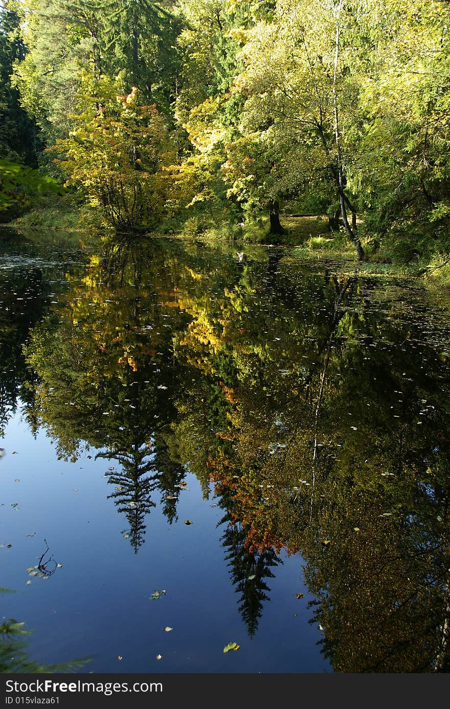 Wood Lake