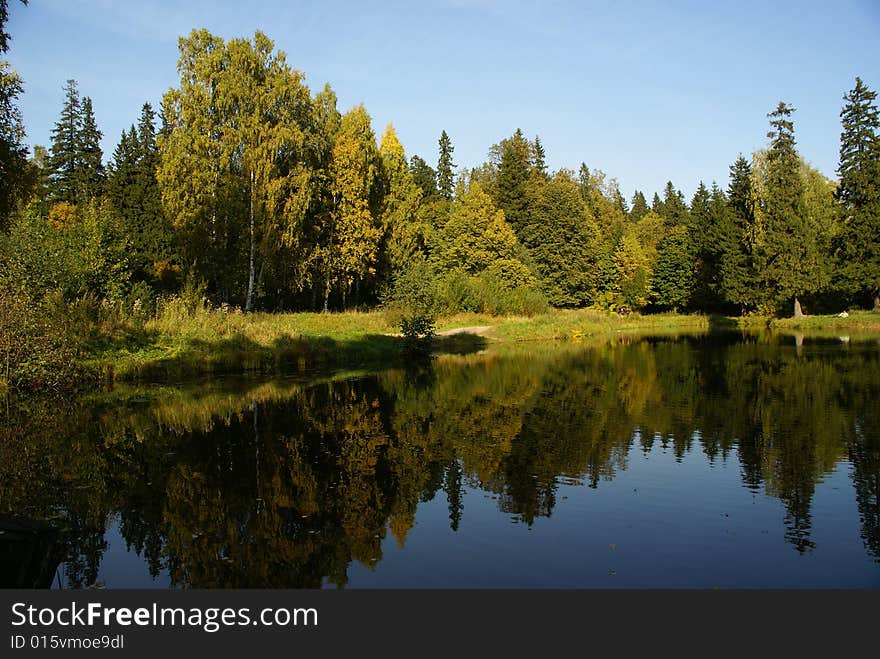 Wood lake