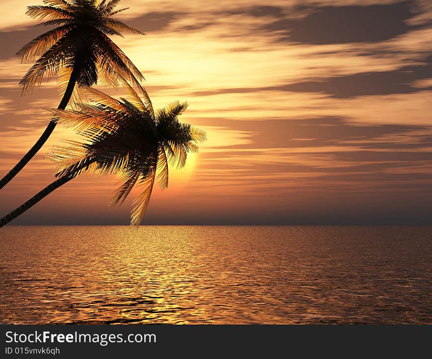 Sunset coconut palm trees on small island .