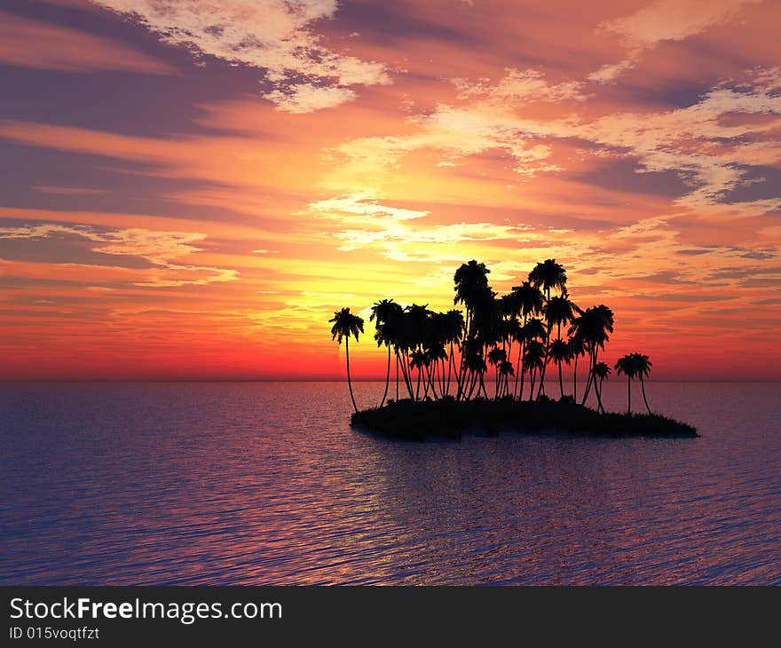 Sunset coconut palm trees on small island .