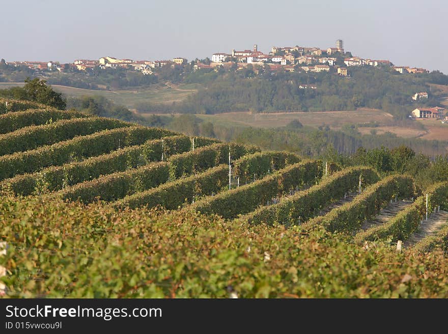 Monferrato landscape: famous italian wine production area. Camagna, Piemonte , Italy. Monferrato landscape: famous italian wine production area. Camagna, Piemonte , Italy