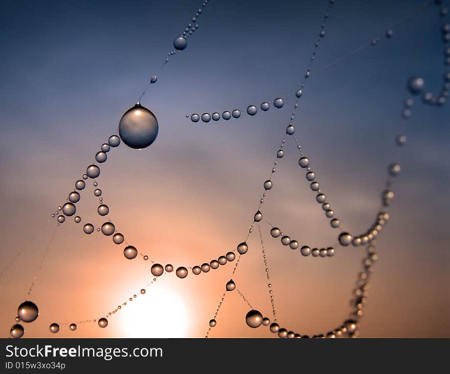 Close up of a spider web with dew drops. Close up of a spider web with dew drops