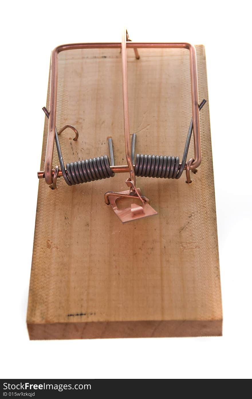 Spring Loaded Mouse Trap