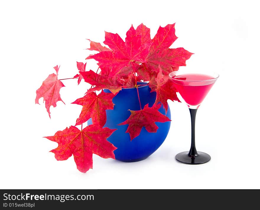 Dark blue beautiful vase with maple red autumn leaves on white background