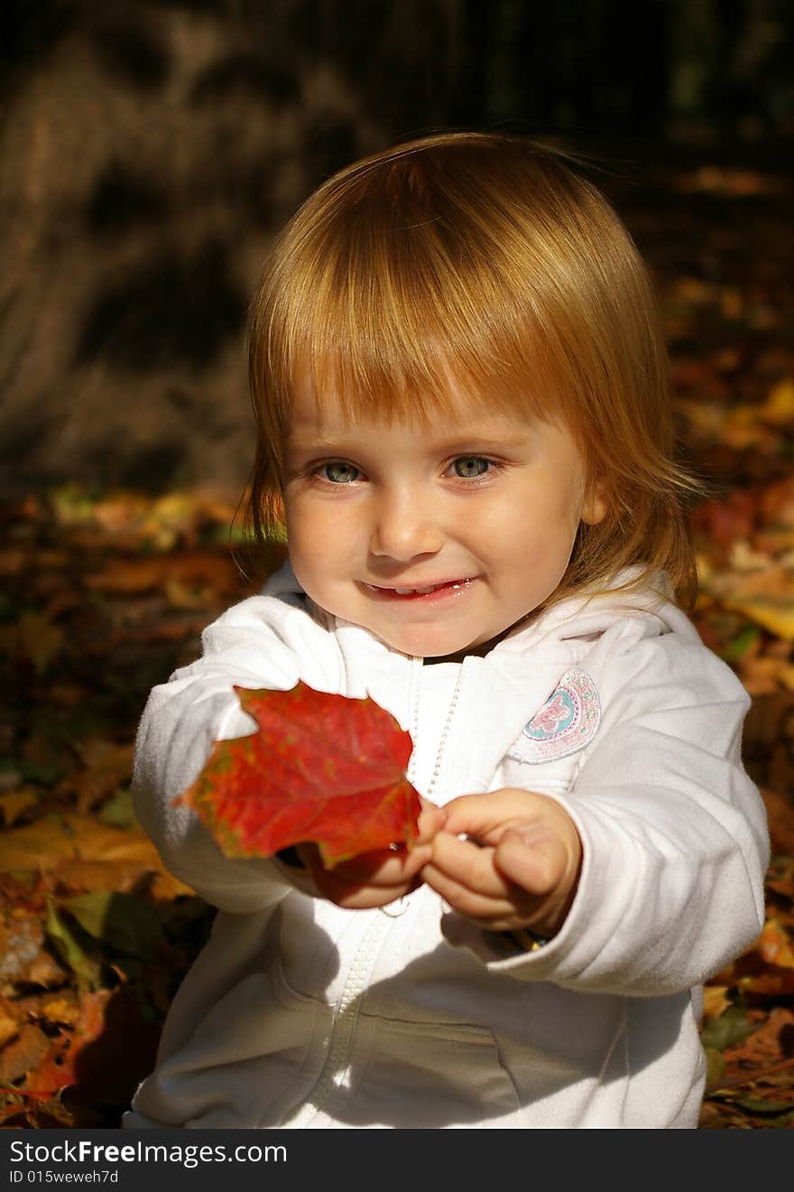 Autumn portrait of cute little caucasian girl. Autumn portrait of cute little caucasian girl