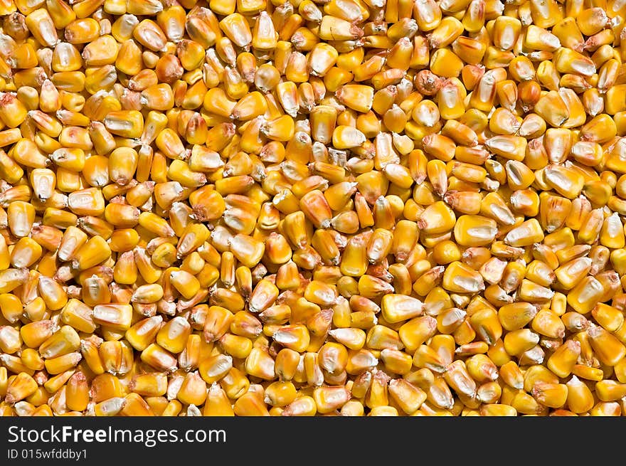 Dried corns