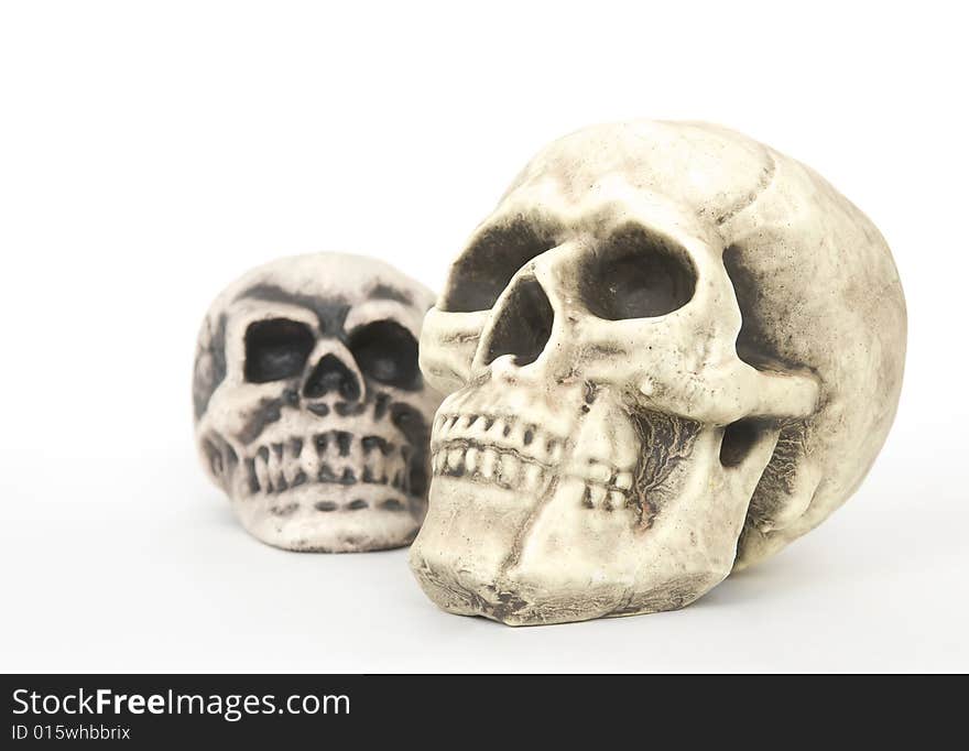 Two skulls on white background