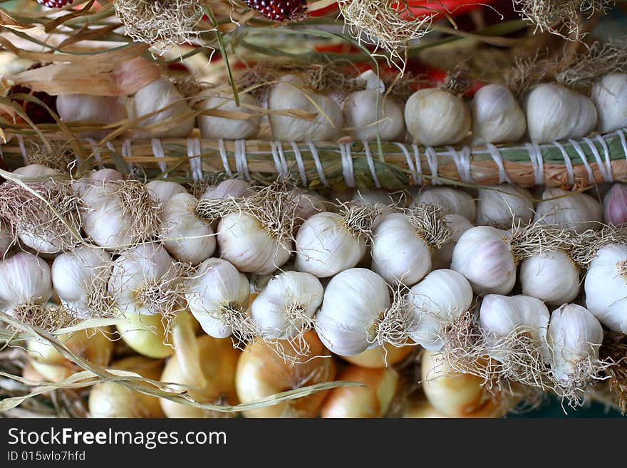 Garlic close up