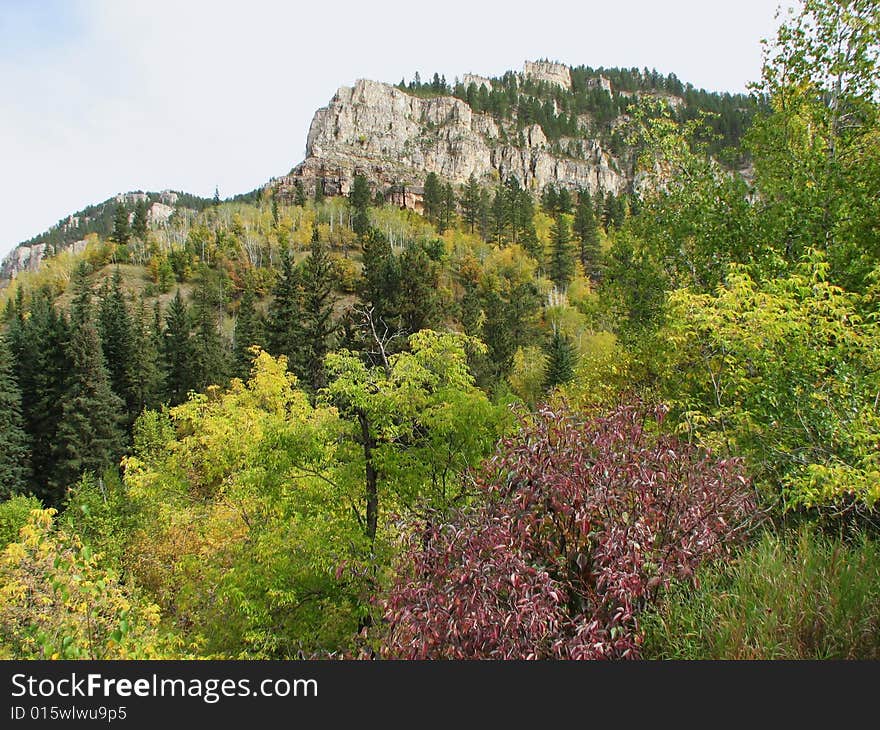 Taken In Spearfish Canyon In South Dakota. Taken In Spearfish Canyon In South Dakota