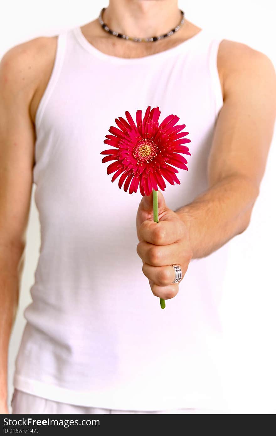 Man giving a red flower. Man giving a red flower