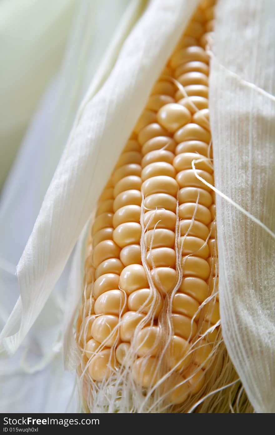 Fresh corncob sweetcorn with leaves, shallow DOF