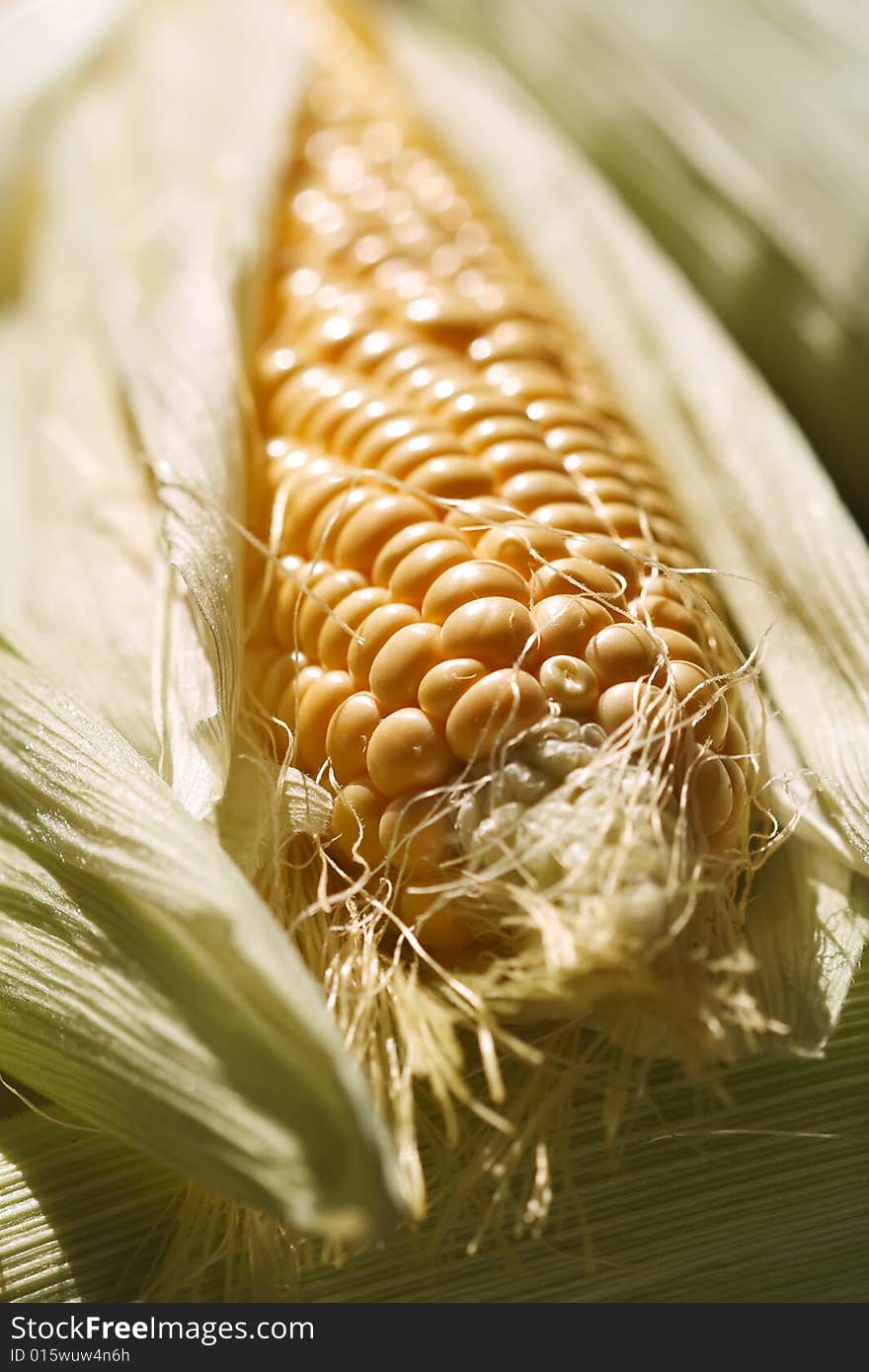 Fresh corncob sweetcorn with leaves, shallow dof