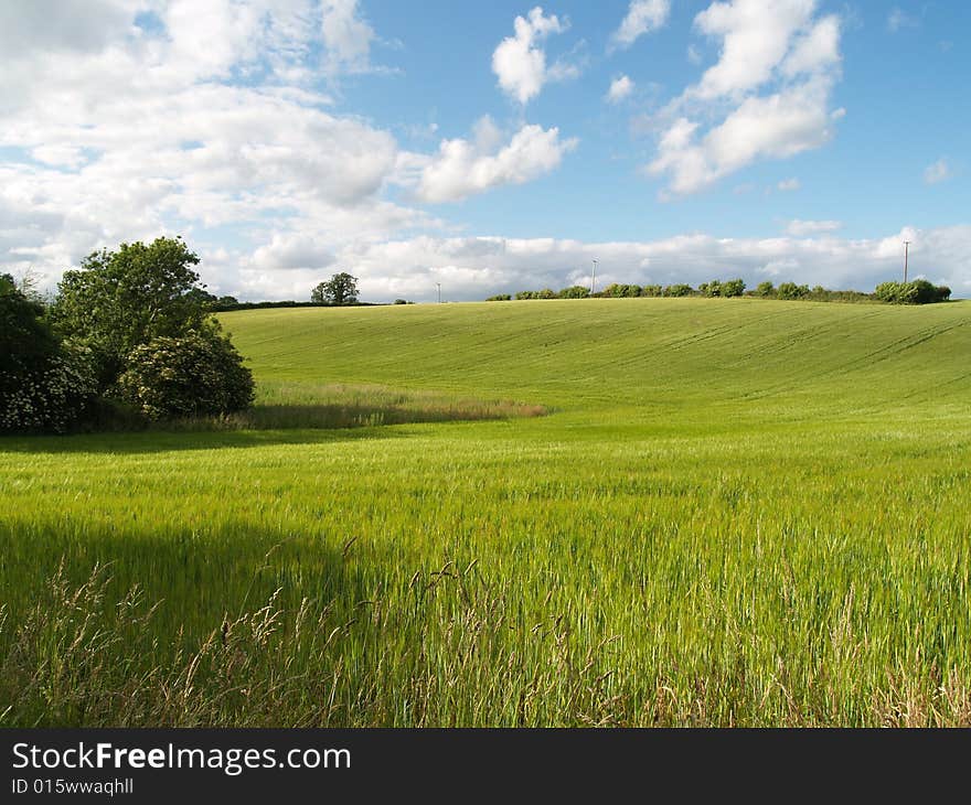 A green valley slopes gently down to some trees