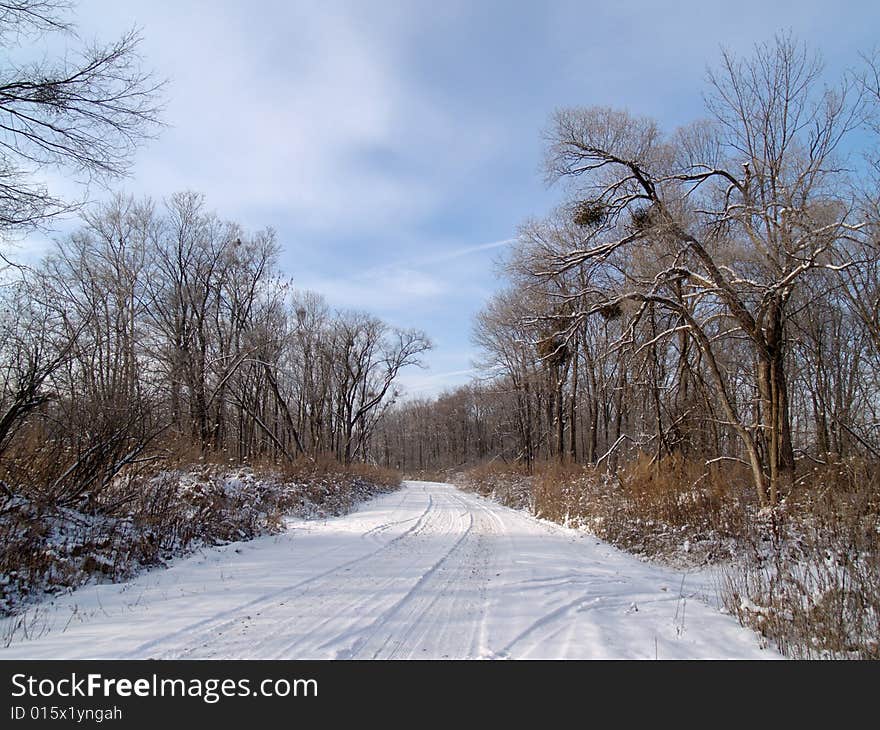 Wood road in the winter evening Russia.