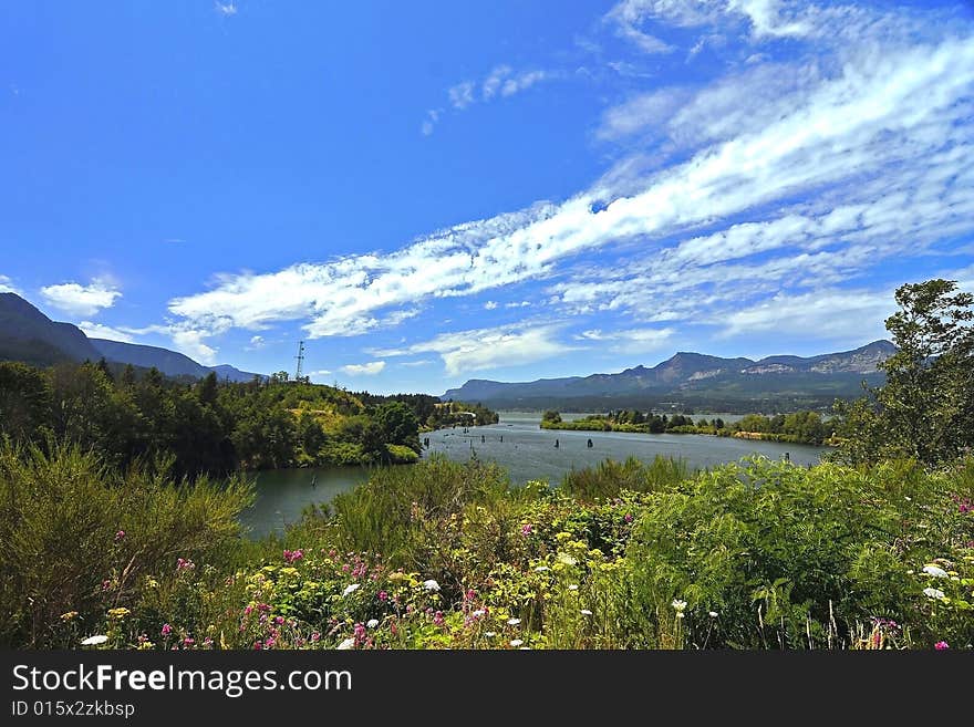 Riverside isolated by land with flowers