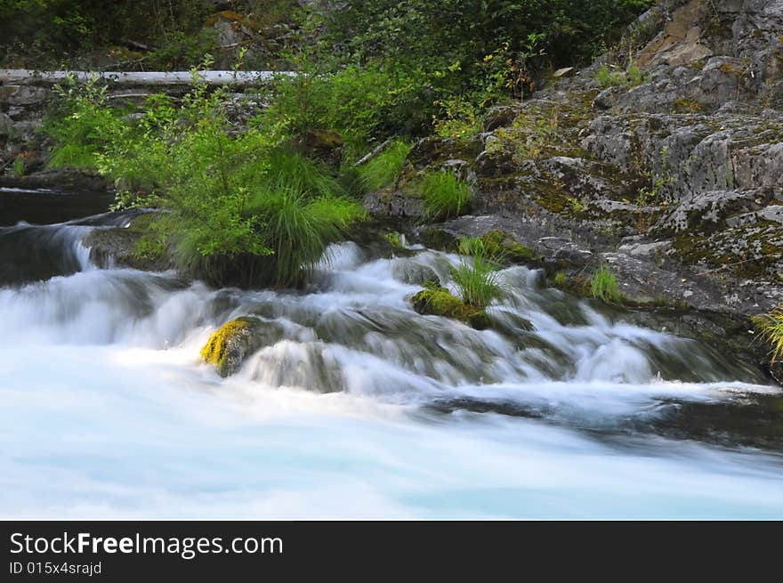 Small tree in the middle of fast flow stream