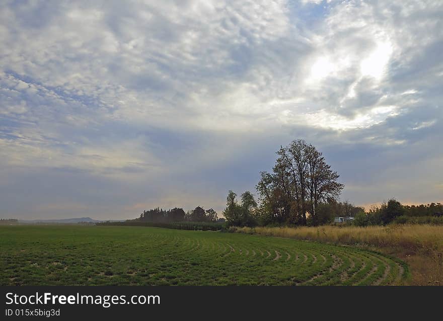 Farm field