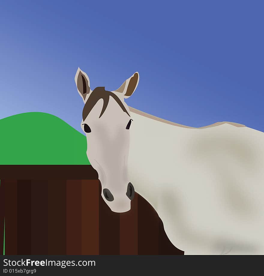 Greyish-white horse against backdrop of fense, rolling hills and blue sky