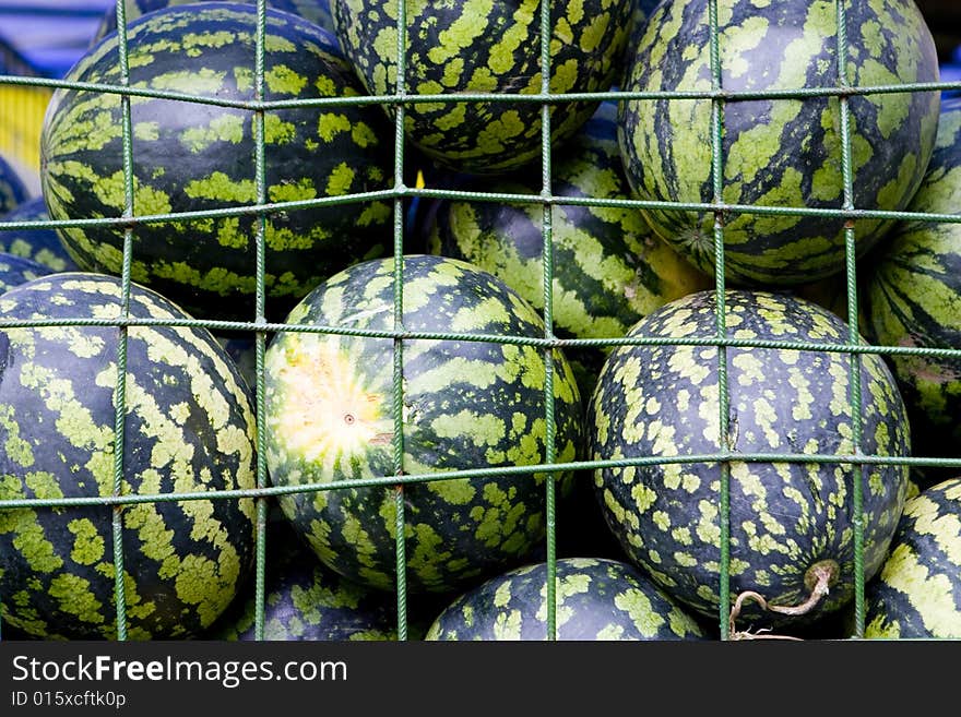 Background of green watermelones