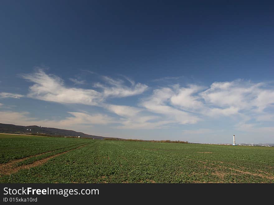 Idyllic landscape with field and cirrus clouds