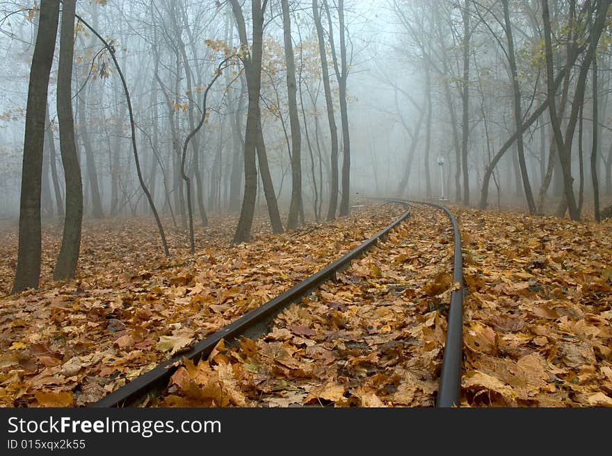 Railing in misty autumn forest