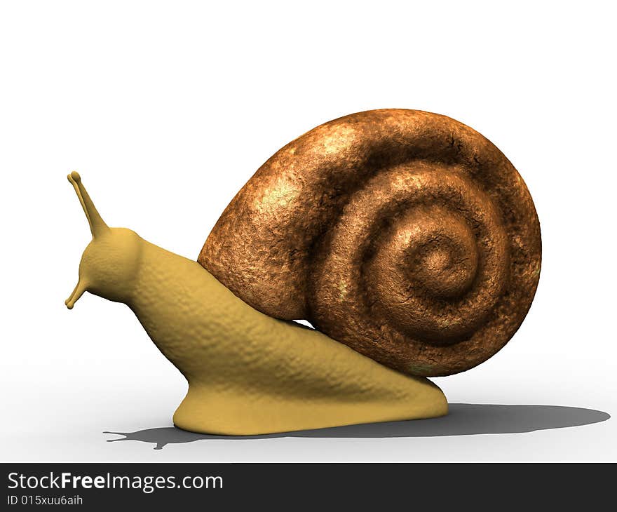 Isolated snail on white background.