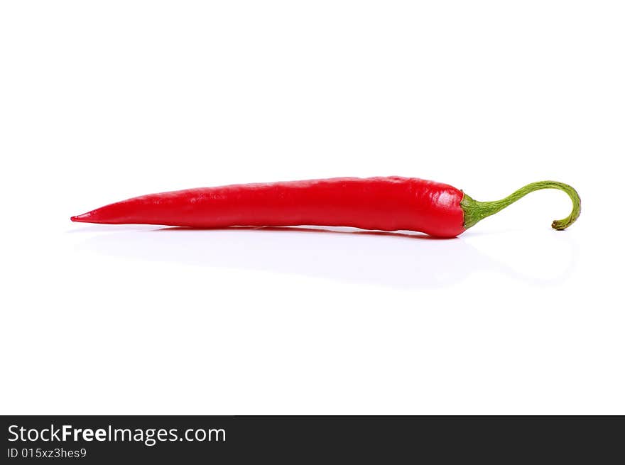 One red pepper on a white background