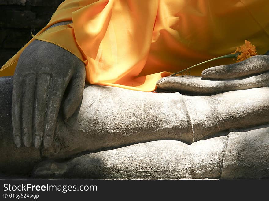 Buddhas Hands