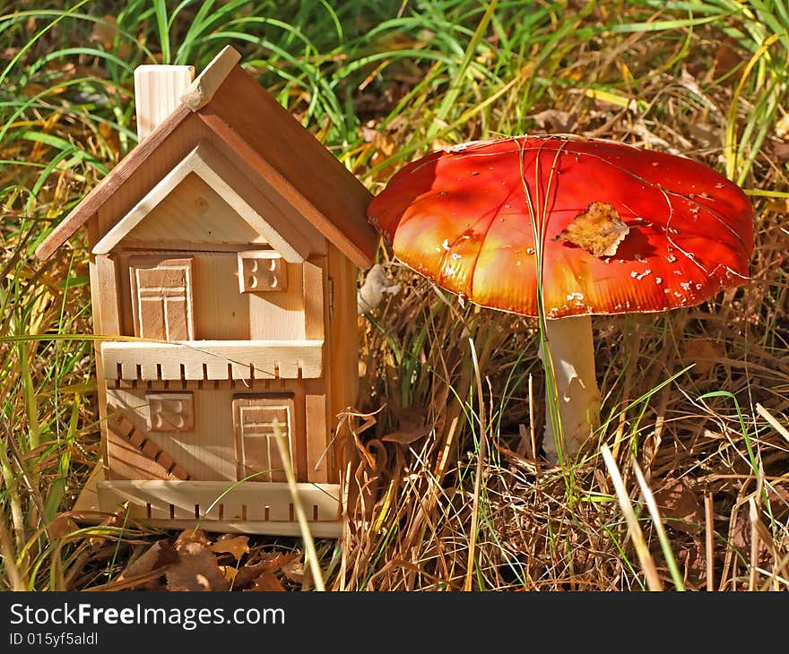 A cottage of forest habitants and living umbrella is a red fly-agaric. A cottage of forest habitants and living umbrella is a red fly-agaric.