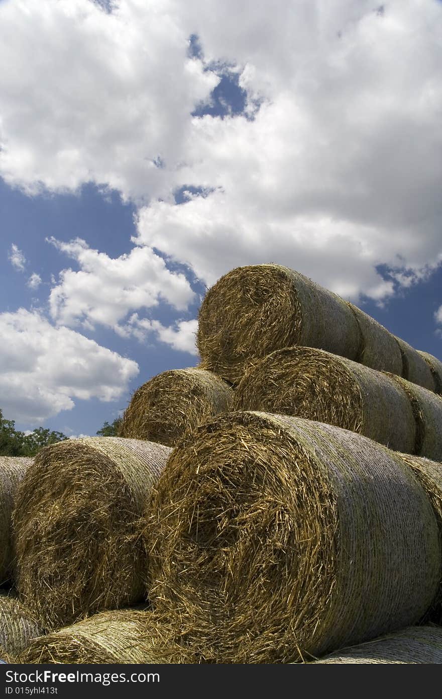 Stacked bales of hay on the meadow