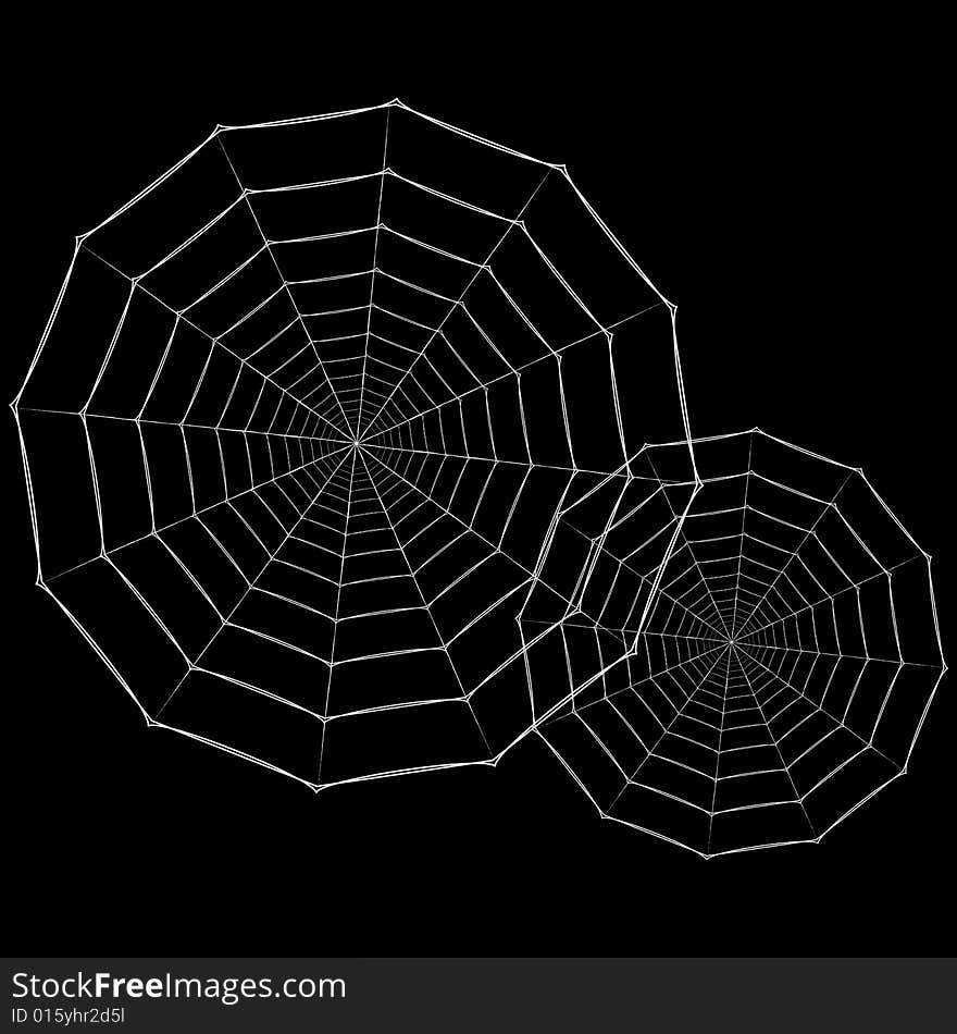 Spider Web