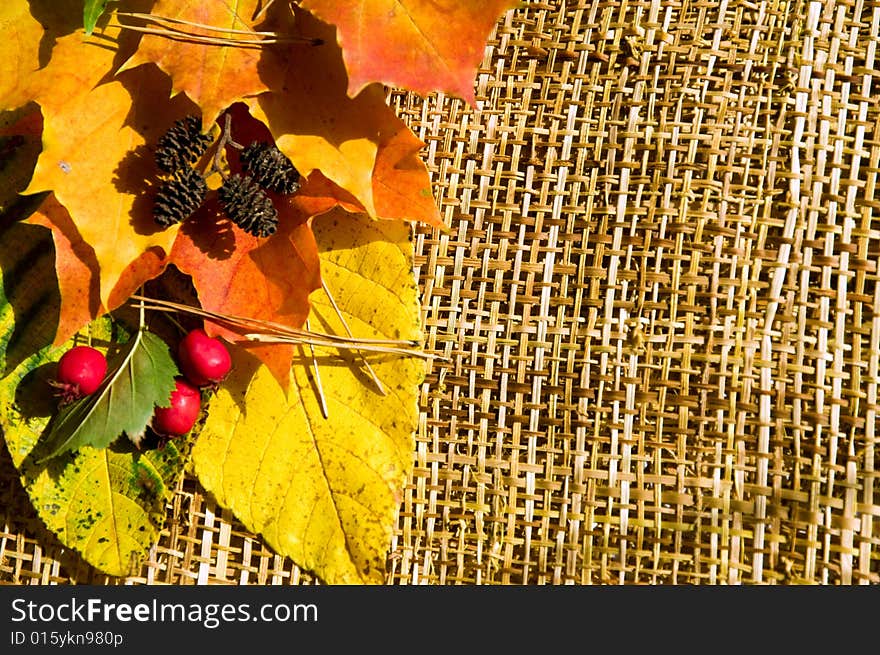 Horizontal border made of colorful autumn leaves, berries and cones on rough sacking texture. Horizontal border made of colorful autumn leaves, berries and cones on rough sacking texture
