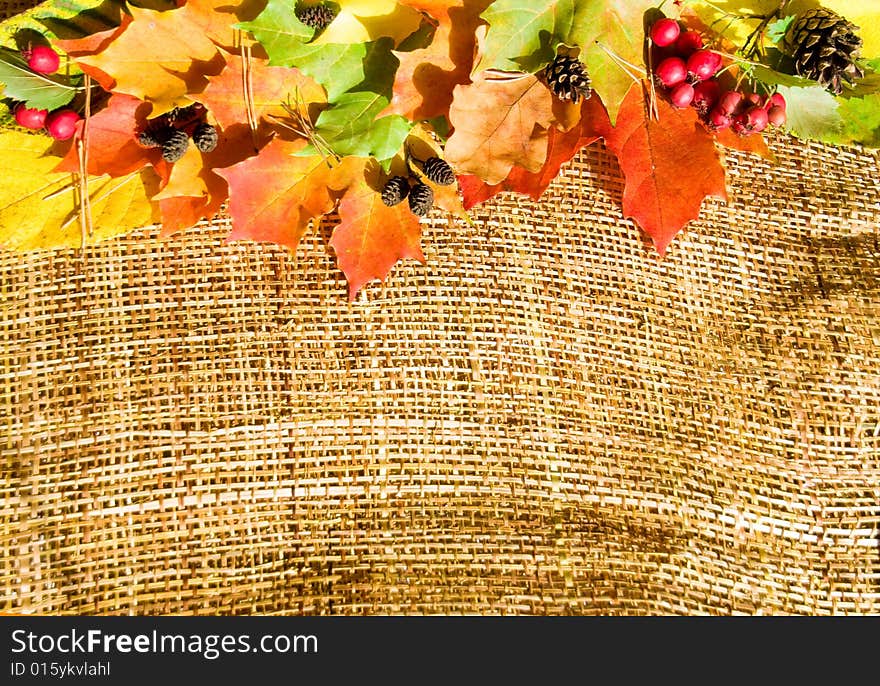 Colorful autumn composition on sacking texture