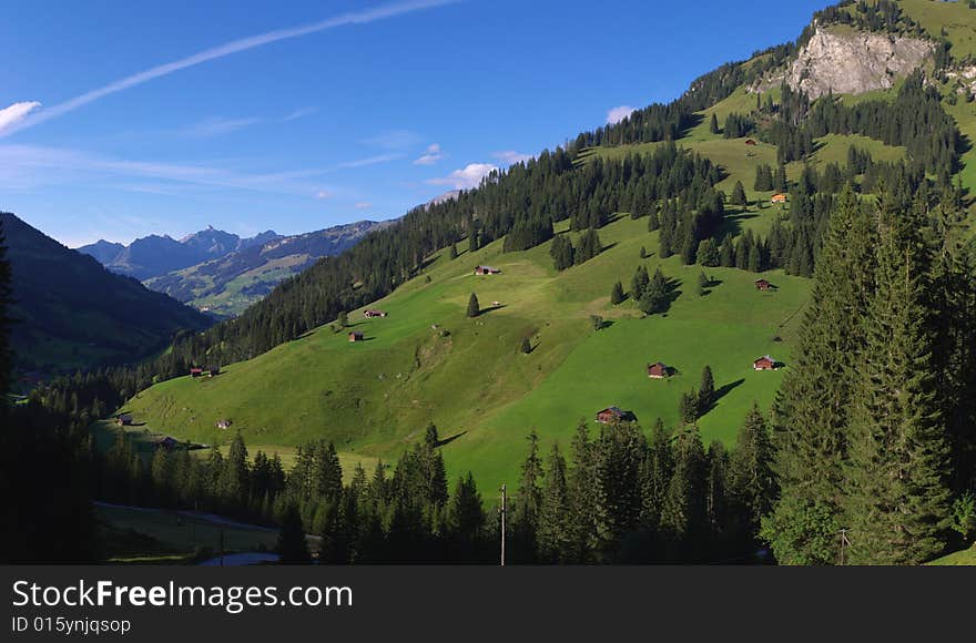 Summer rural landscape view on green Alps mountains, trees, slopes, and detached wooden houses in valley. Alps, Switzerland, europe. Summer rural landscape view on green Alps mountains, trees, slopes, and detached wooden houses in valley. Alps, Switzerland, europe.