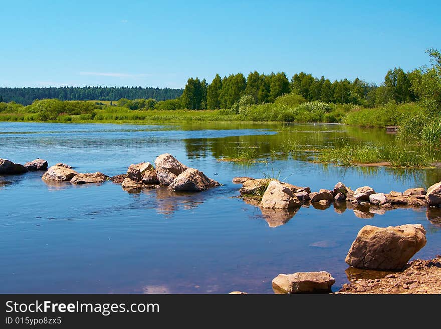 Stones on the river on a background of a wood