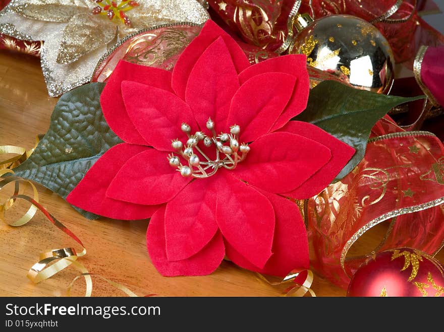 Christmas flowers