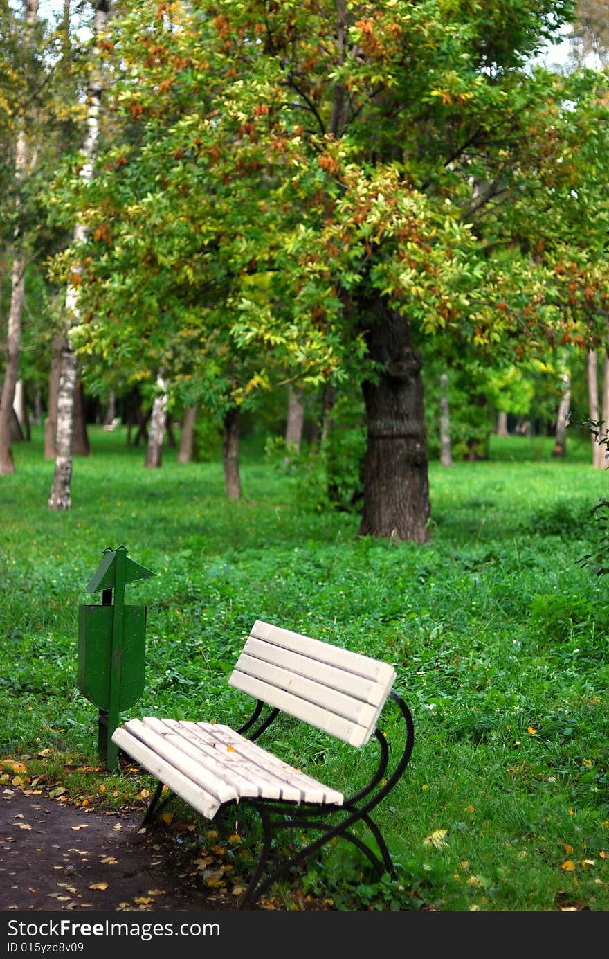 Bench