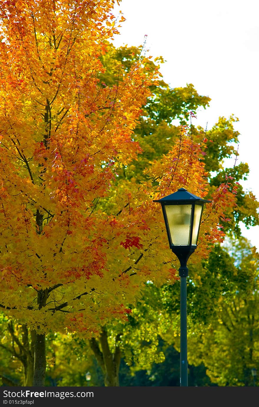 A latern in frnot of a tree in autumn colors. A latern in frnot of a tree in autumn colors