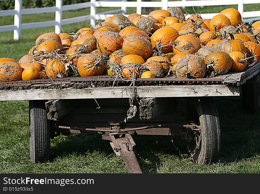 Wagon full of pumpkins ready to be hauled away