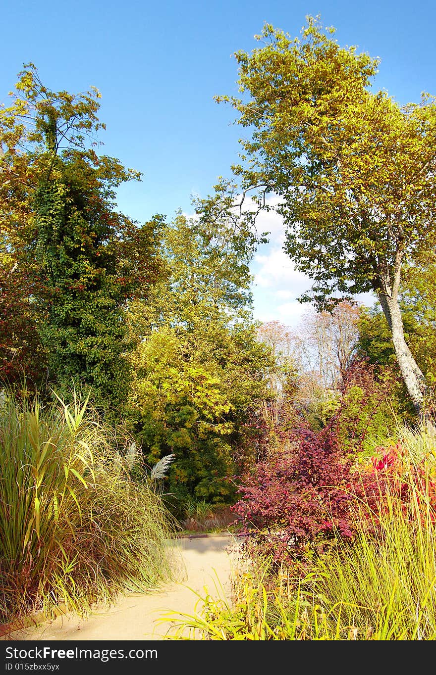 Autumn scene in sunny weather