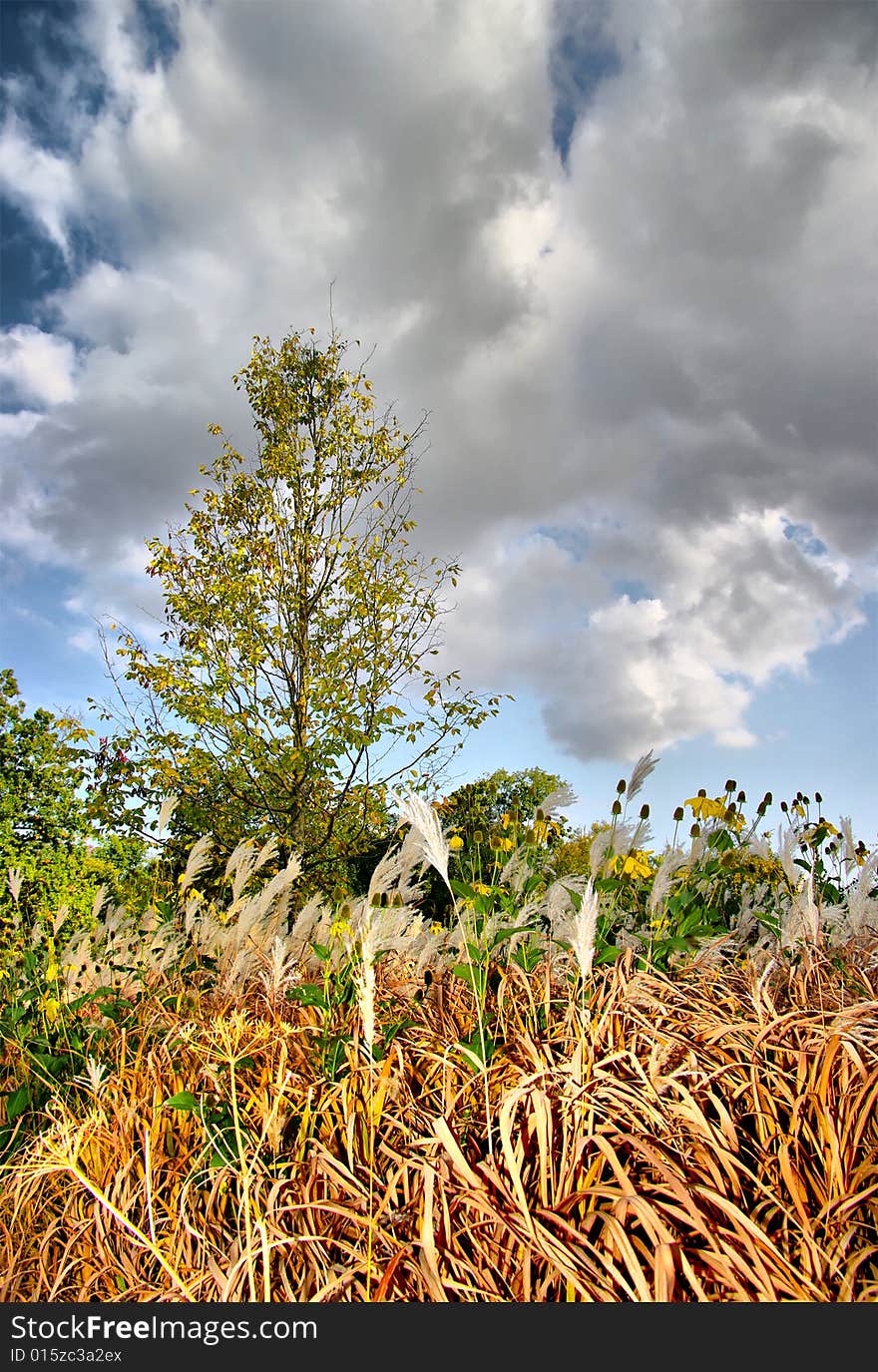 Autumn scene with drammatic clouds. Autumn scene with drammatic clouds