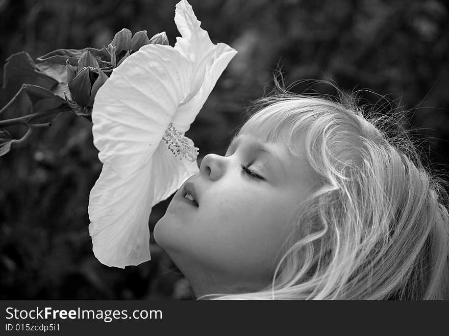 Little blond girl smelling a white hibiscus. Little blond girl smelling a white hibiscus.