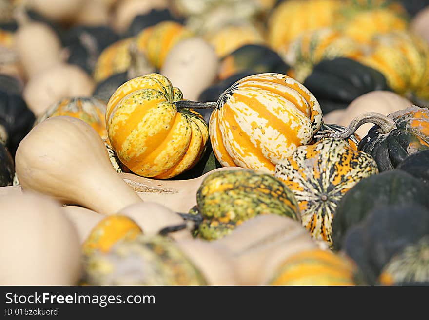 Wagon full of Gourds up close