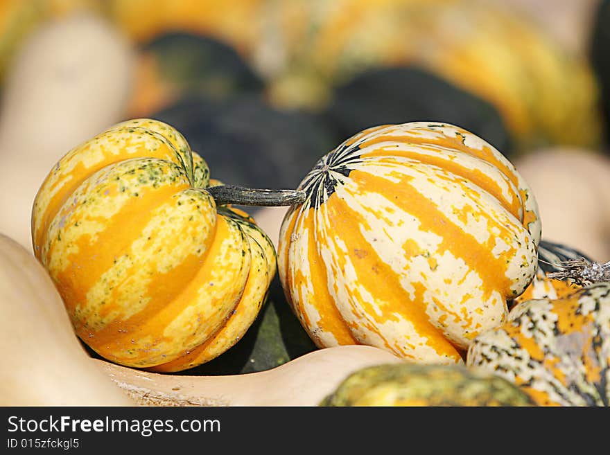 Wagon full of Gourds